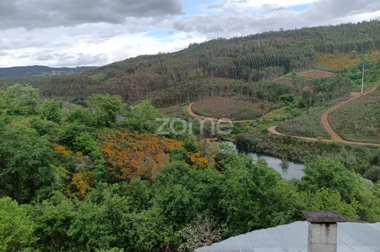 Moradia T7 para Venda em Arganil Foto 21