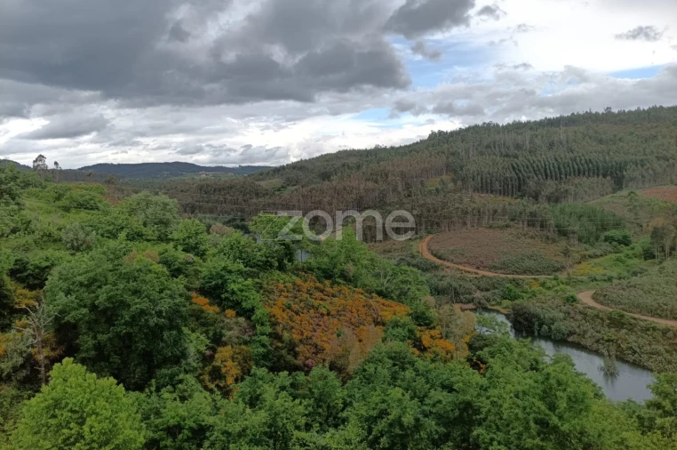 Moradia T7 para Venda em Arganil Foto 20