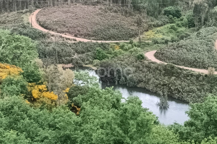 Moradia T7 para Venda em Arganil Foto 18