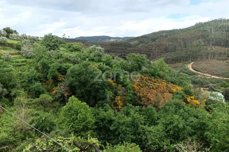 Moradia T7 para Venda em Arganil Foto 12