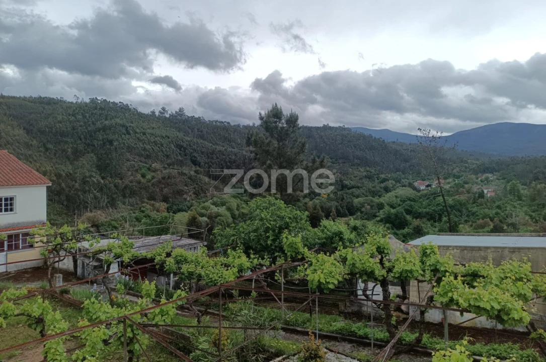 Moradia T7 para Venda em Arganil Foto 1