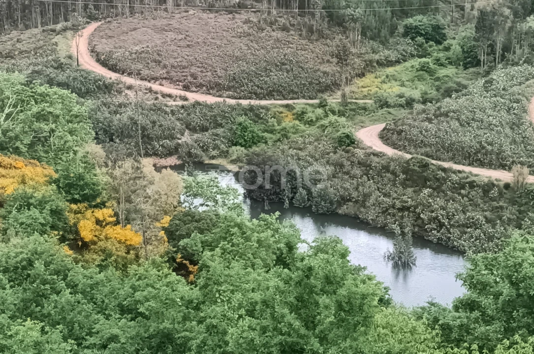 Moradia T7 para Venda em Arganil Foto 18