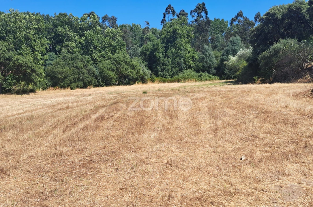Terreno para Venda em Ferreira-A-Nova Foto 3
