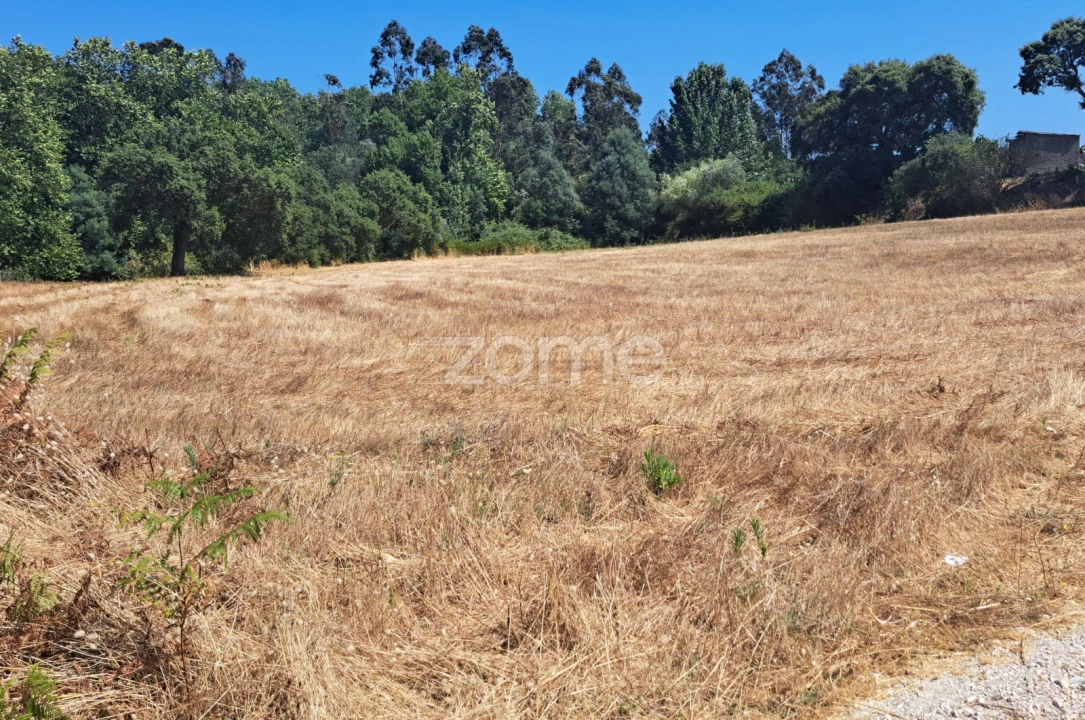 Terreno para Venda em Ferreira-A-Nova Foto 27
