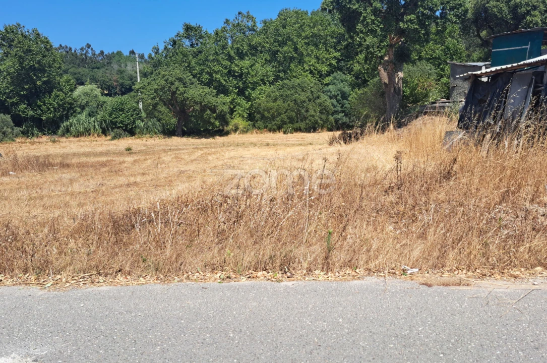 Terreno para Venda em Ferreira-A-Nova Foto 6