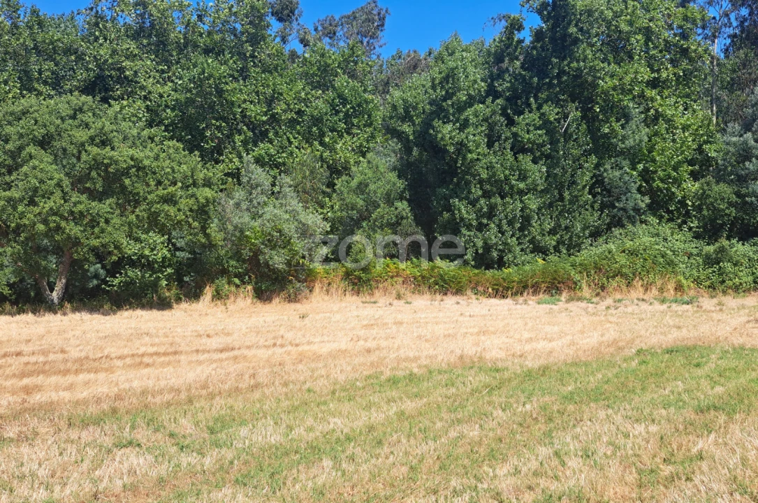 Terreno para Venda em Ferreira-A-Nova Foto 11