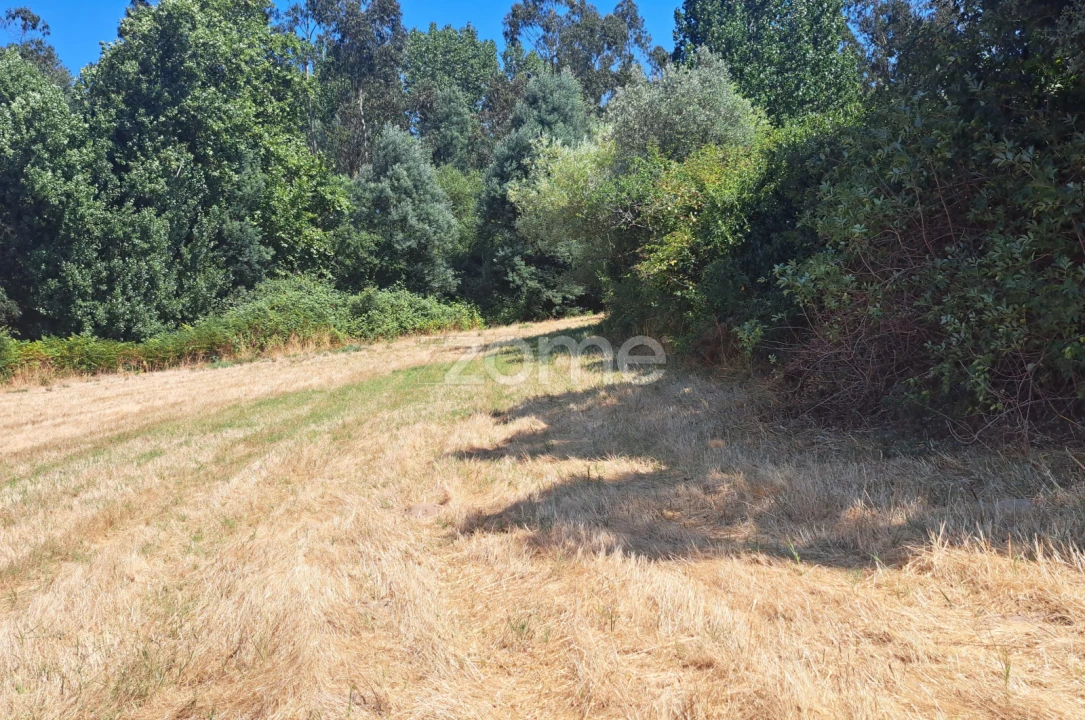 Terreno para Venda em Ferreira-A-Nova Foto 1