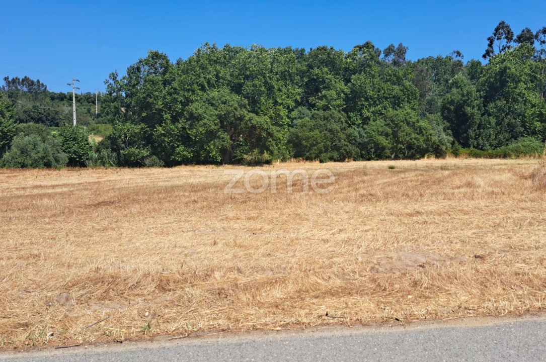 Terreno para Venda em Ferreira-A-Nova Foto 18