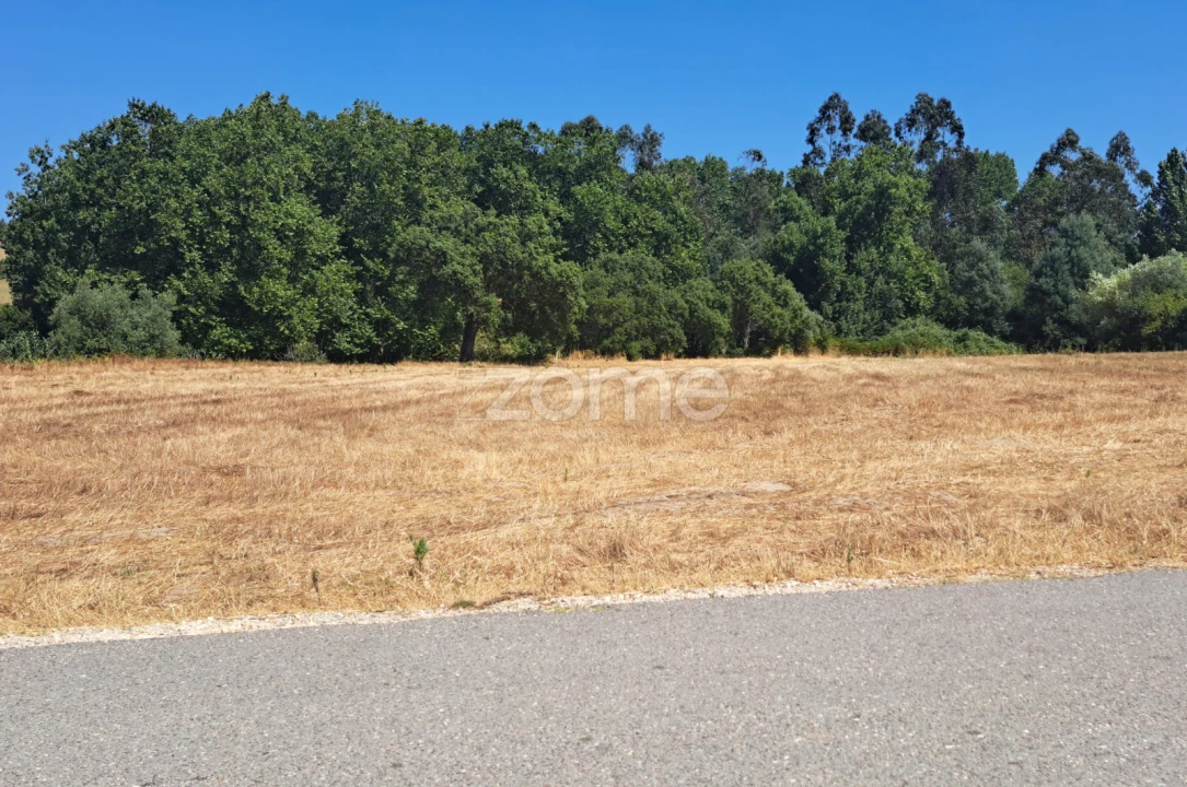 Terreno para Venda em Ferreira-A-Nova Foto 21