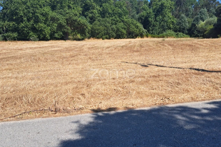 Terreno para Venda em Ferreira-A-Nova Foto 5