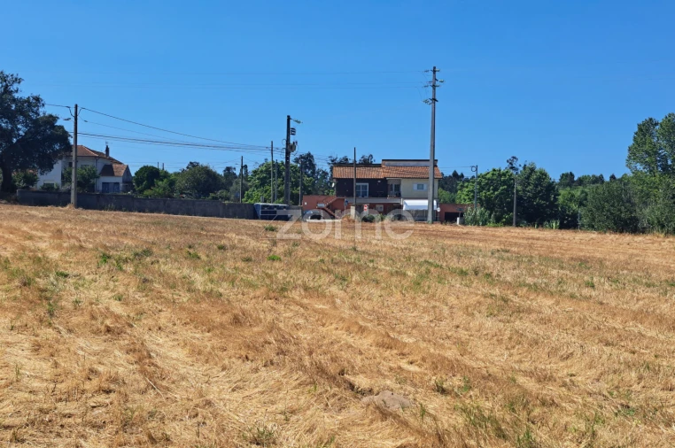 Terreno para Venda em Ferreira-A-Nova Foto 14
