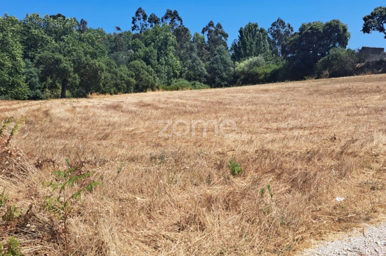 Terreno para Venda em Ferreira-A-Nova Foto 27