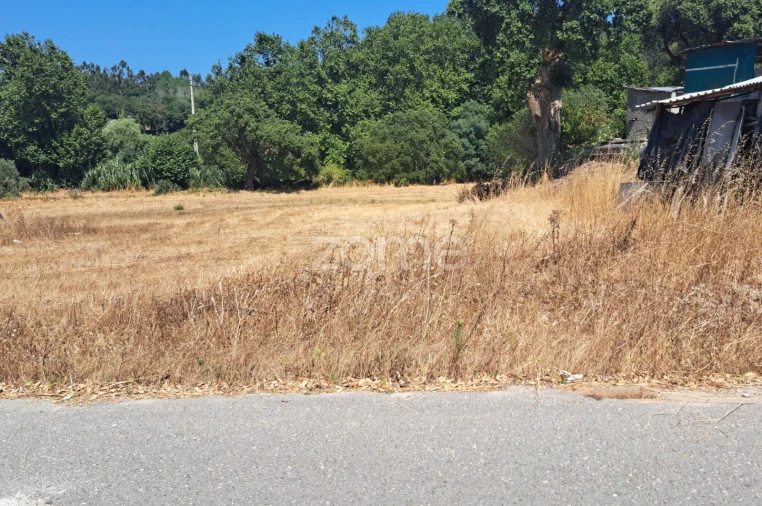 Terreno para Venda em Ferreira-A-Nova