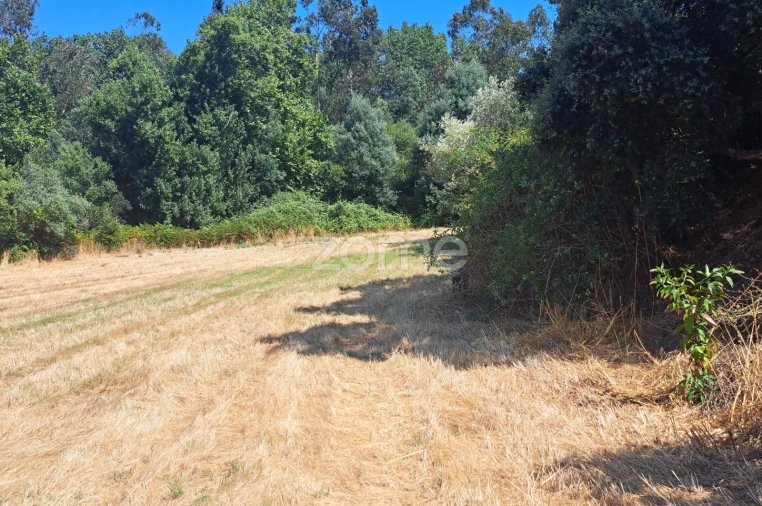 Terreno para Venda em Ferreira-A-Nova Foto 12