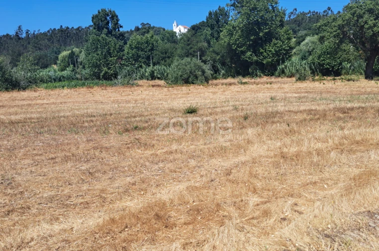 Terreno para Venda em Ferreira-A-Nova Foto 15