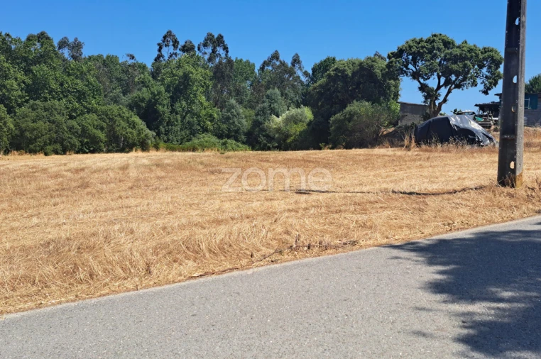 Terreno para Venda em Ferreira-A-Nova Foto 23