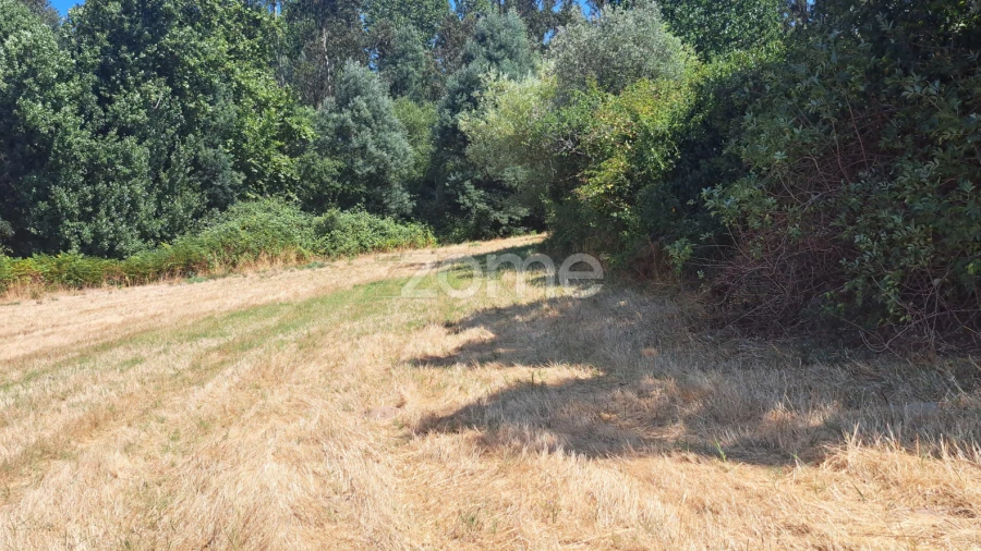 Terreno para Venda em Ferreira-A-Nova