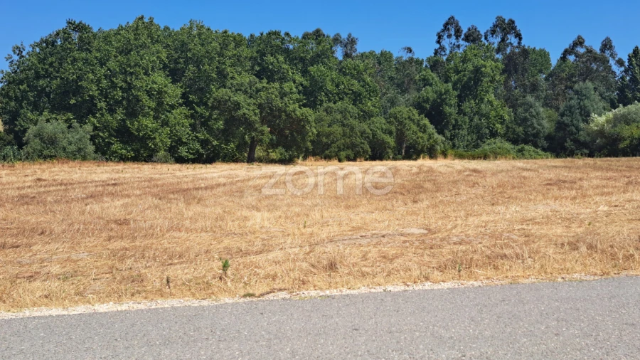 Terreno para Venda em Ferreira-A-Nova