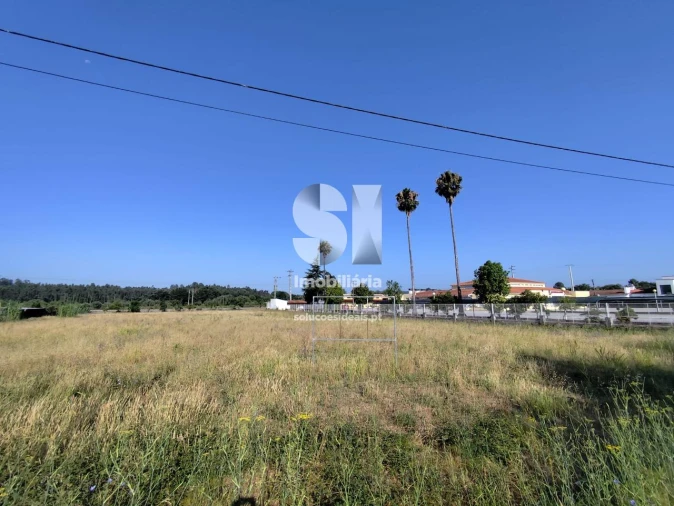 Terreno para Venda em Tamengos, Aguim e Óis do Bairro Foto 5