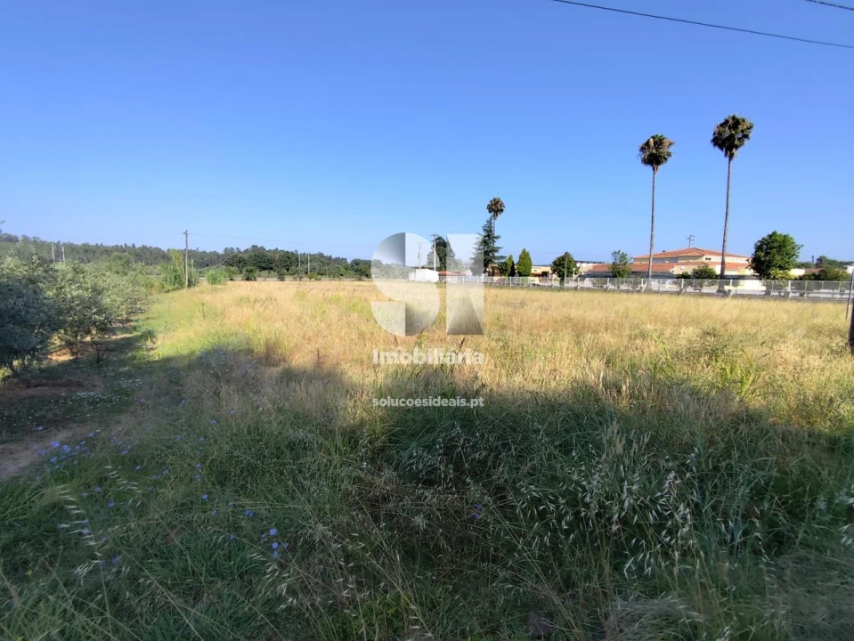 Terreno para Venda em Tamengos, Aguim e Óis do Bairro Foto 7