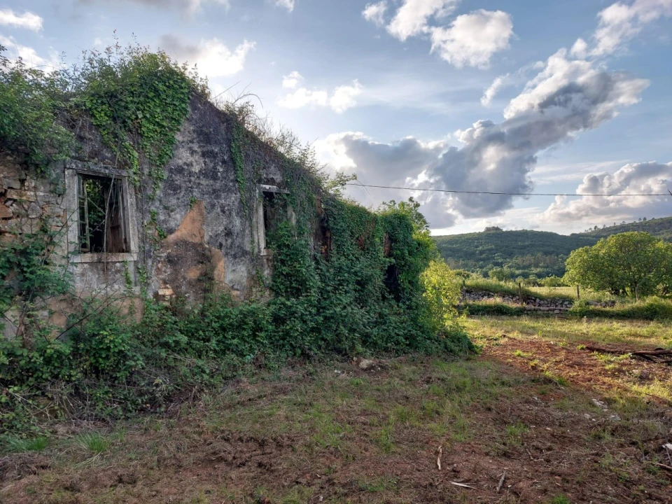 Terreno Misto para Venda em Ansião Foto 9