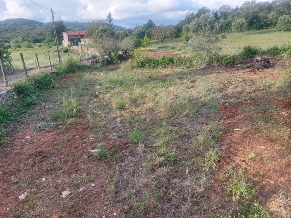 Terreno Misto para Venda em Ansião Foto 11