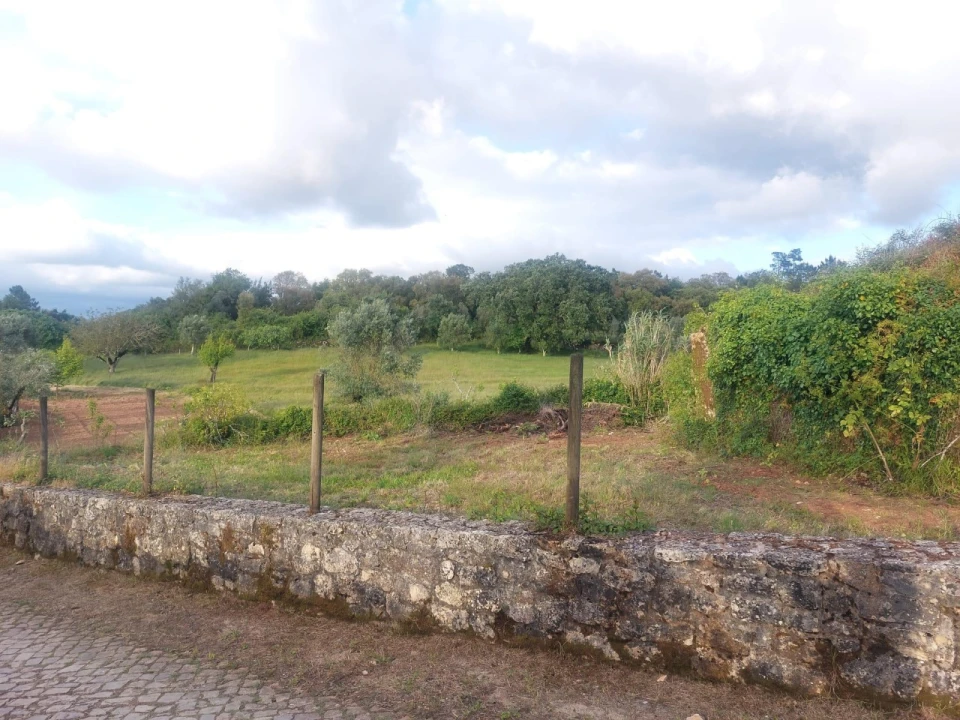 Terreno Misto para Venda em Ansião Foto 5