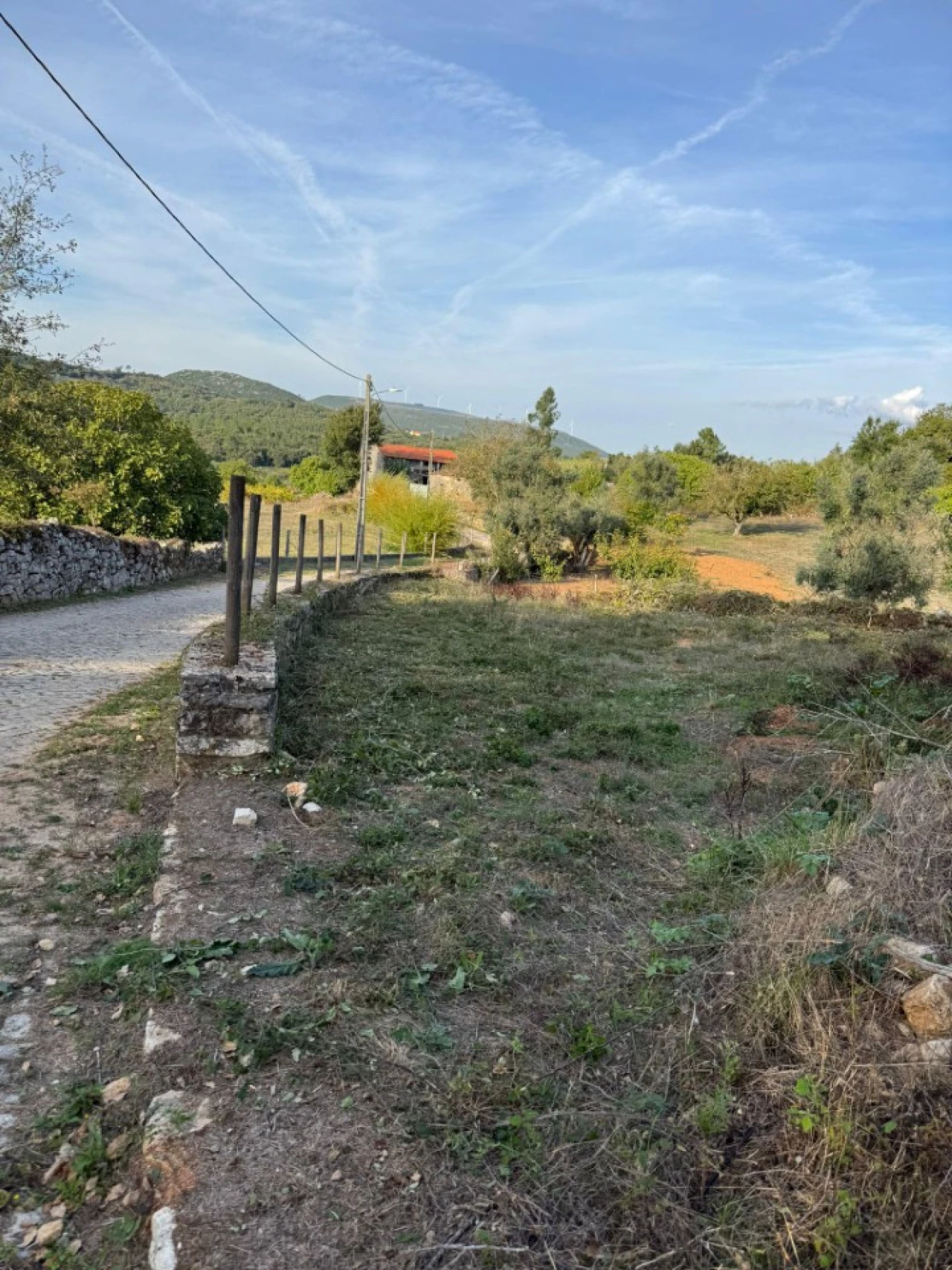 Terreno Misto para Venda em Ansião Foto 13