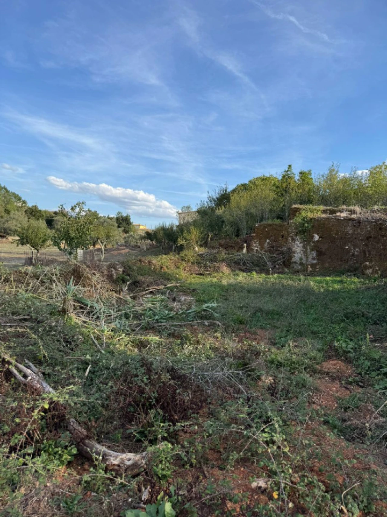 Terreno Misto para Venda em Ansião Foto 15