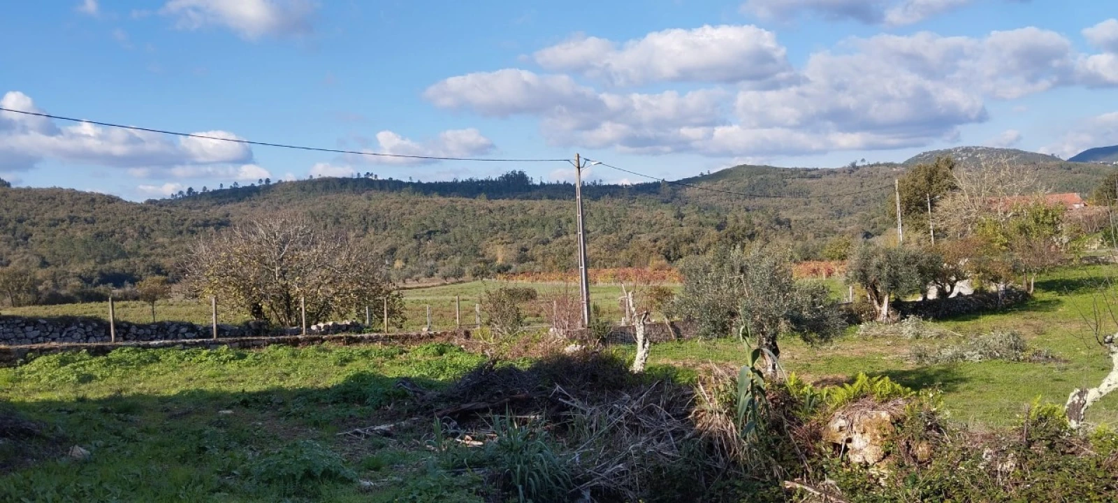 Terreno Misto para Venda em Ansião Foto 3