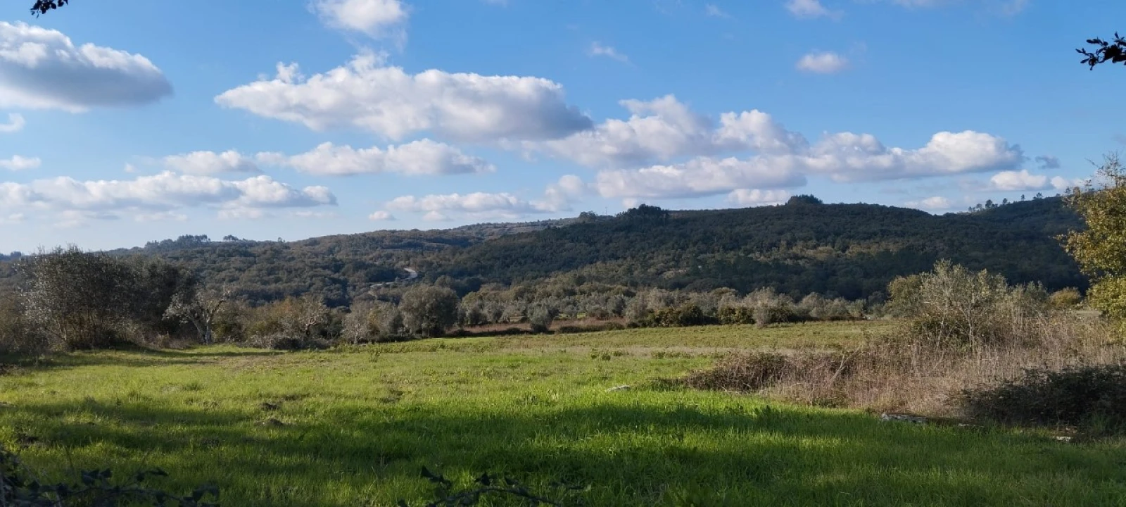 Terreno Misto para Venda em Ansião Foto 7
