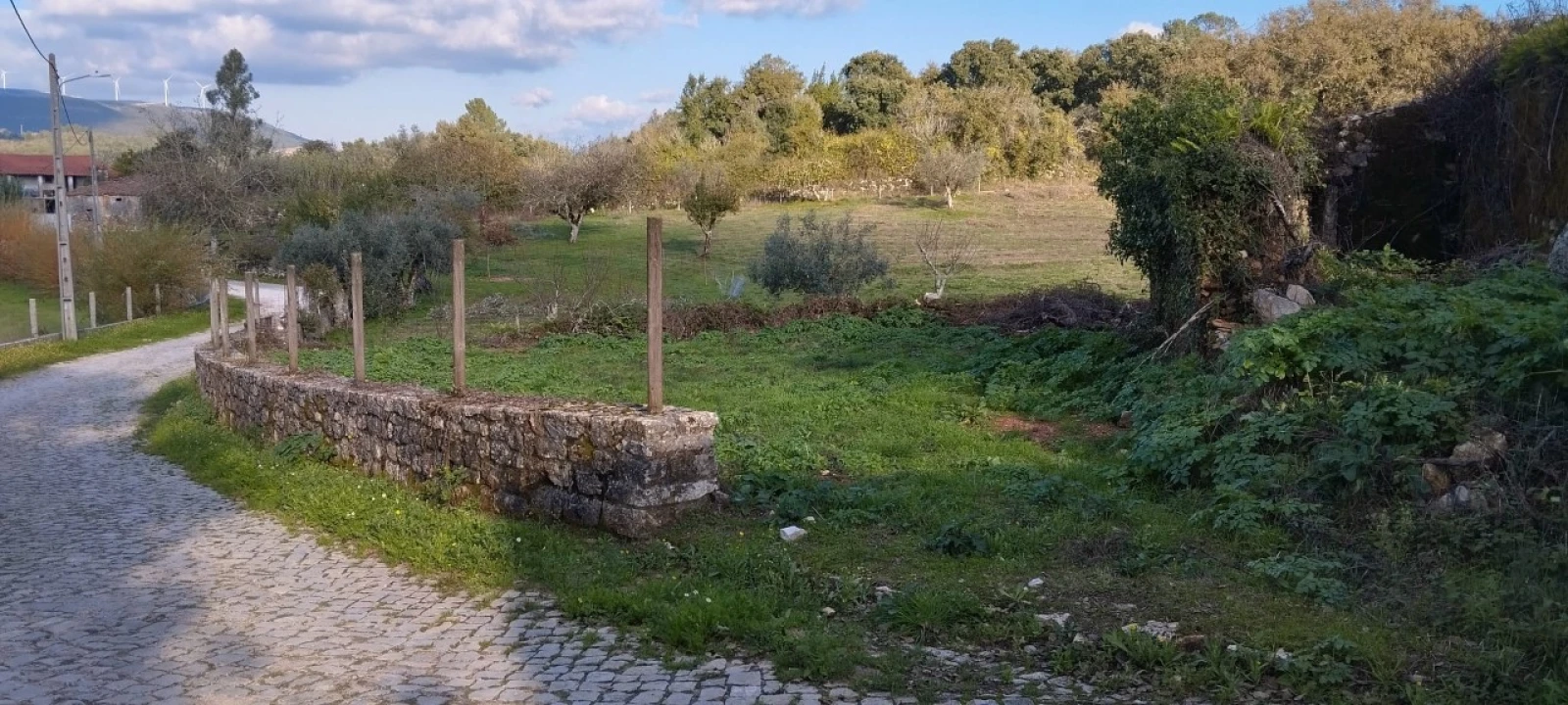 Terreno Misto para Venda em Ansião Foto 17