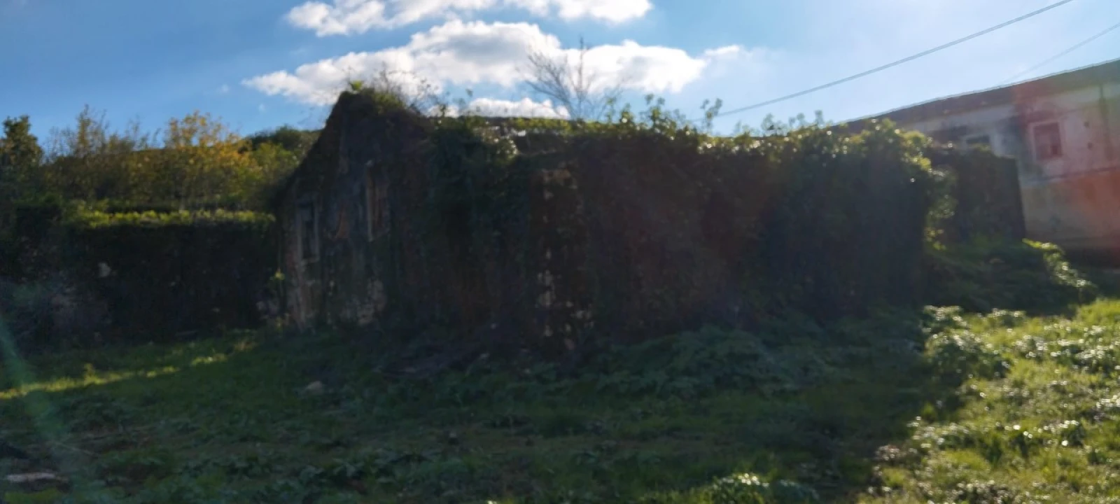 Terreno Misto para Venda em Ansião Foto 18