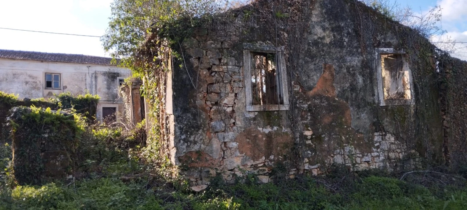 Terreno Misto para Venda em Ansião Foto 19