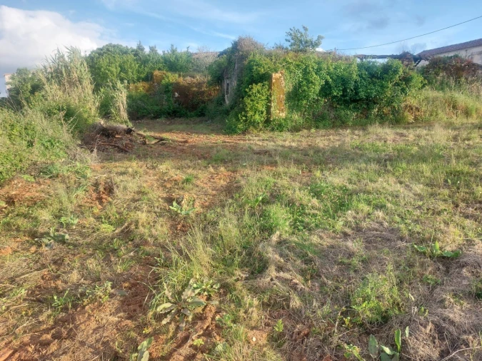 Terreno Misto para Venda em Ansião Foto 10