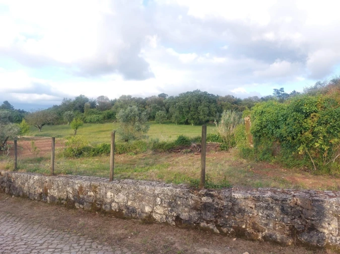Terreno Misto para Venda em Ansião Foto 5