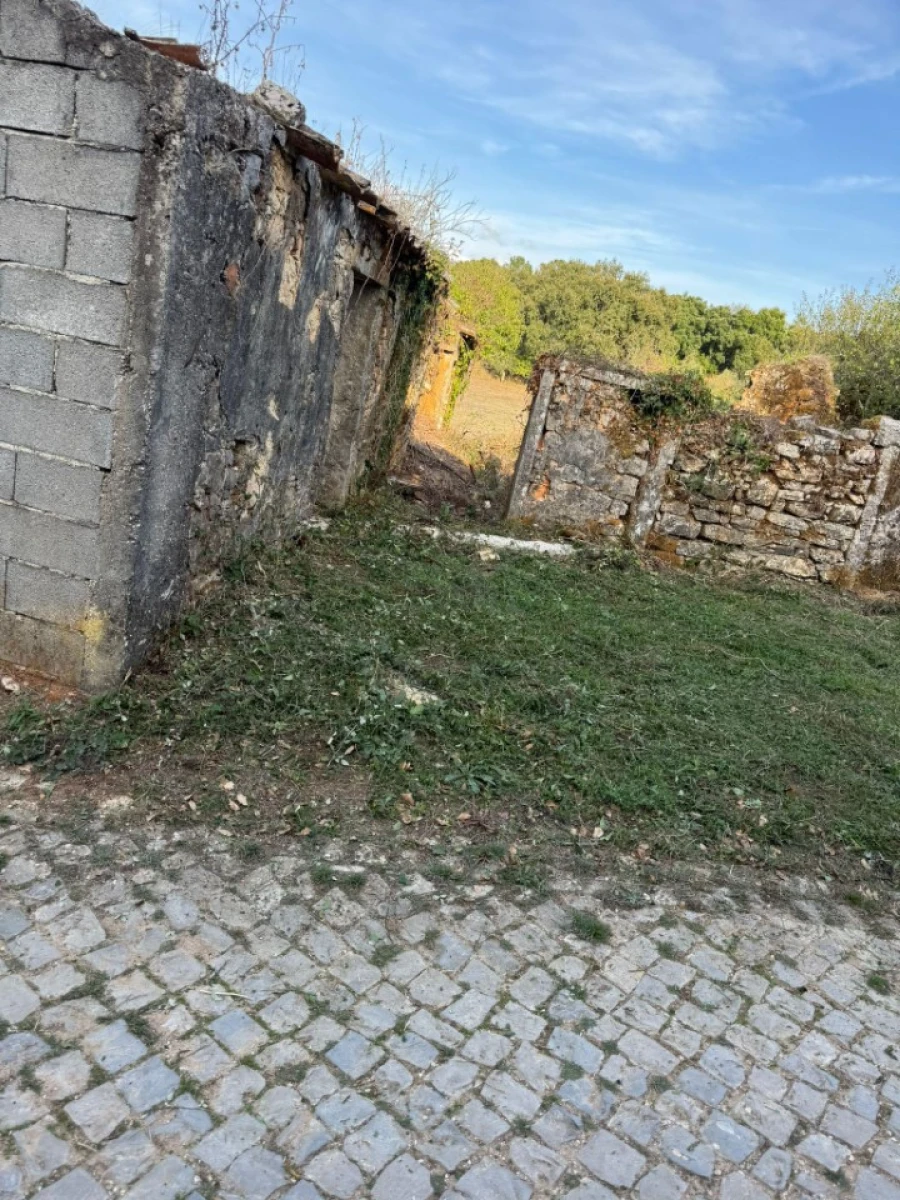 Terreno Misto para Venda em Ansião Foto 8
