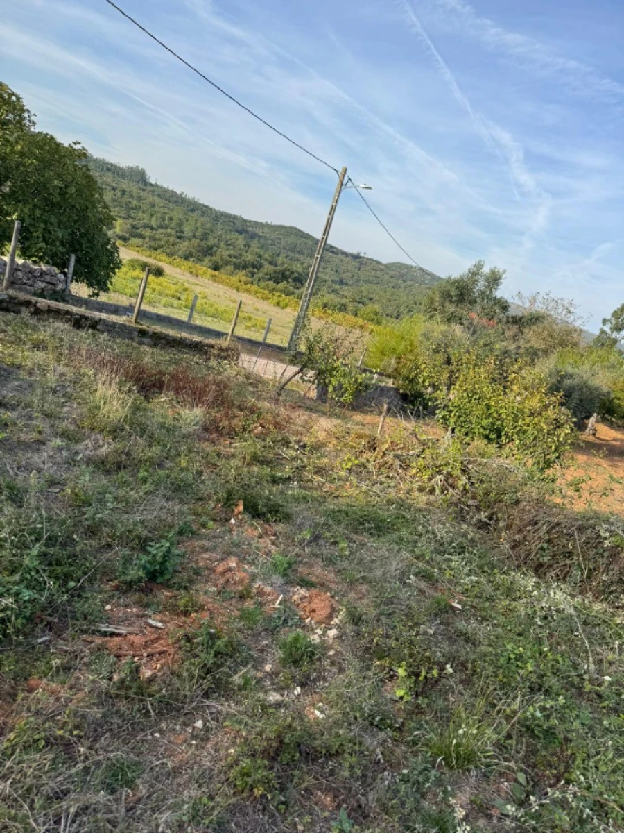 Terreno Misto para Venda em Ansião Foto 14
