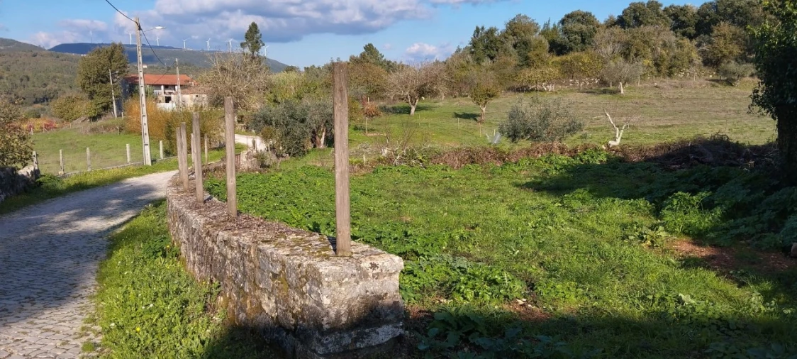 Terreno Misto para Venda em Ansião