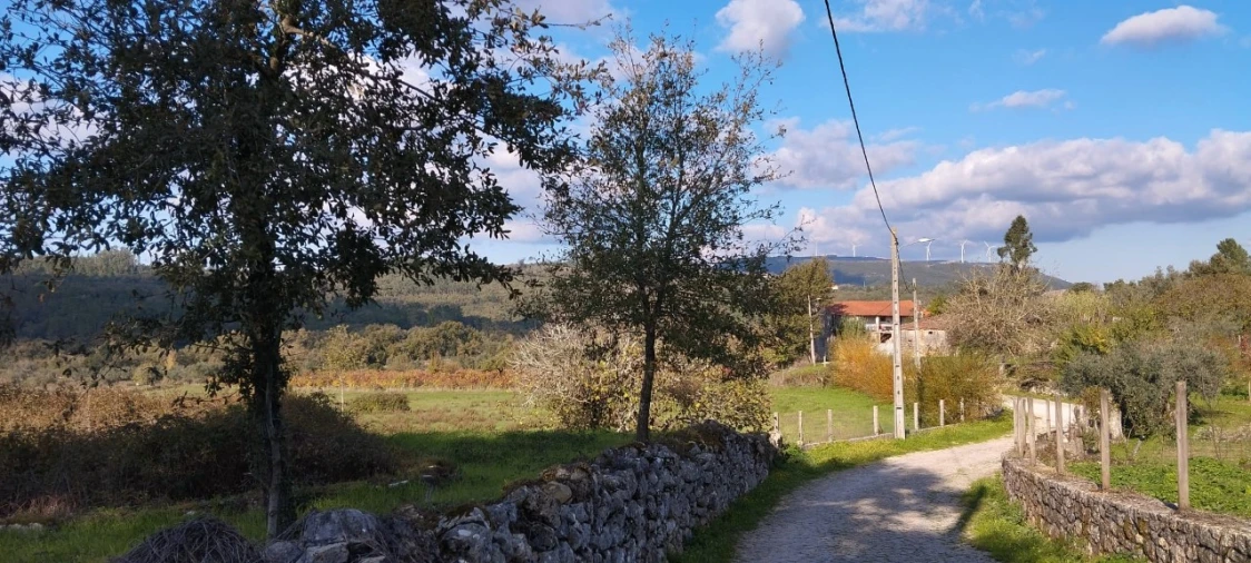 Terreno Misto para Venda em Ansião Foto 4