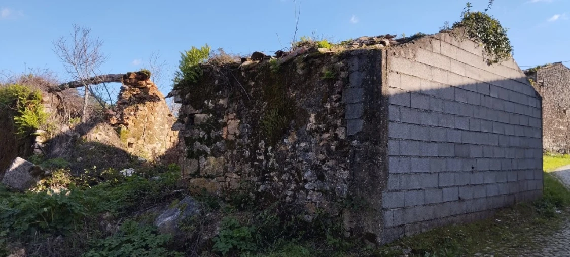 Terreno Misto para Venda em Ansião Foto 16