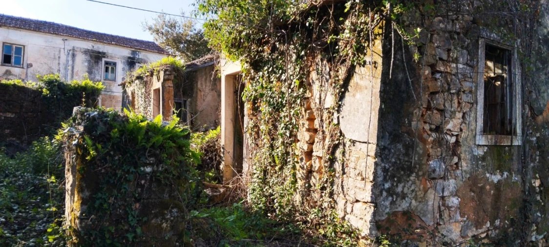 Terreno Misto para Venda em Ansião Foto 20