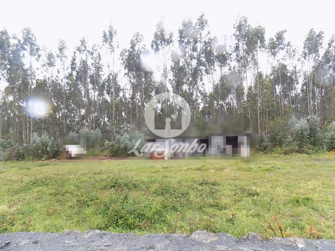 Terreno Agricola ou Rústico para Venda em Bagunte, Ferreiró, Outeiro Maior e Parada Foto 3