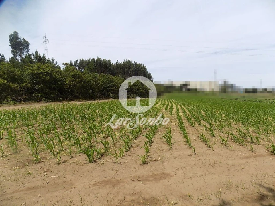 Terreno Misto para Venda em Póvoa de Varzim, Beiriz e Argivai Foto 5
