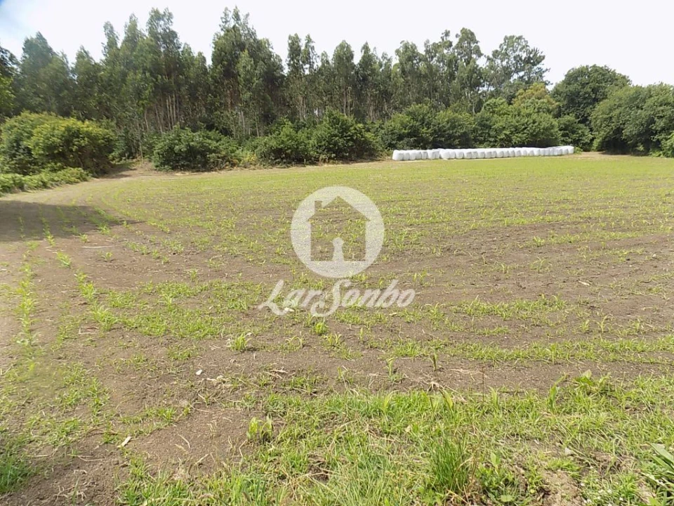 Terreno Misto para Venda em Póvoa de Varzim, Beiriz e Argivai Foto 7