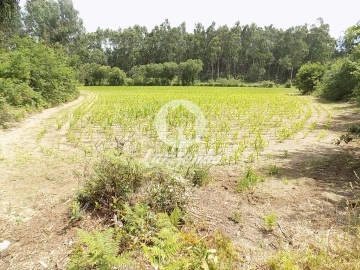 Terreno Misto para Venda em Póvoa de Varzim, Beiriz e Argivai