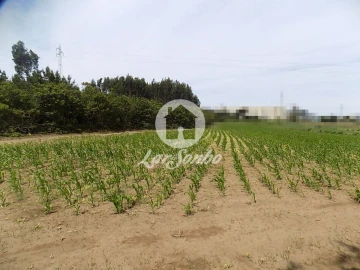 Terreno Misto para Venda em Póvoa de Varzim, Beiriz e Argivai