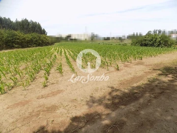 Terreno Misto para Venda em Póvoa de Varzim, Beiriz e Argivai