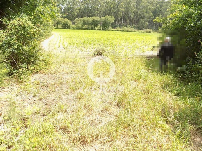 Terreno Misto para Venda em Póvoa de Varzim, Beiriz e Argivai Foto 8
