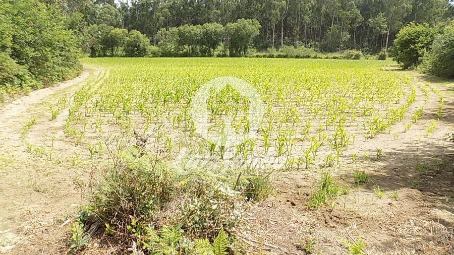 Terreno Misto para Venda em Póvoa de Varzim, Beiriz e Argivai